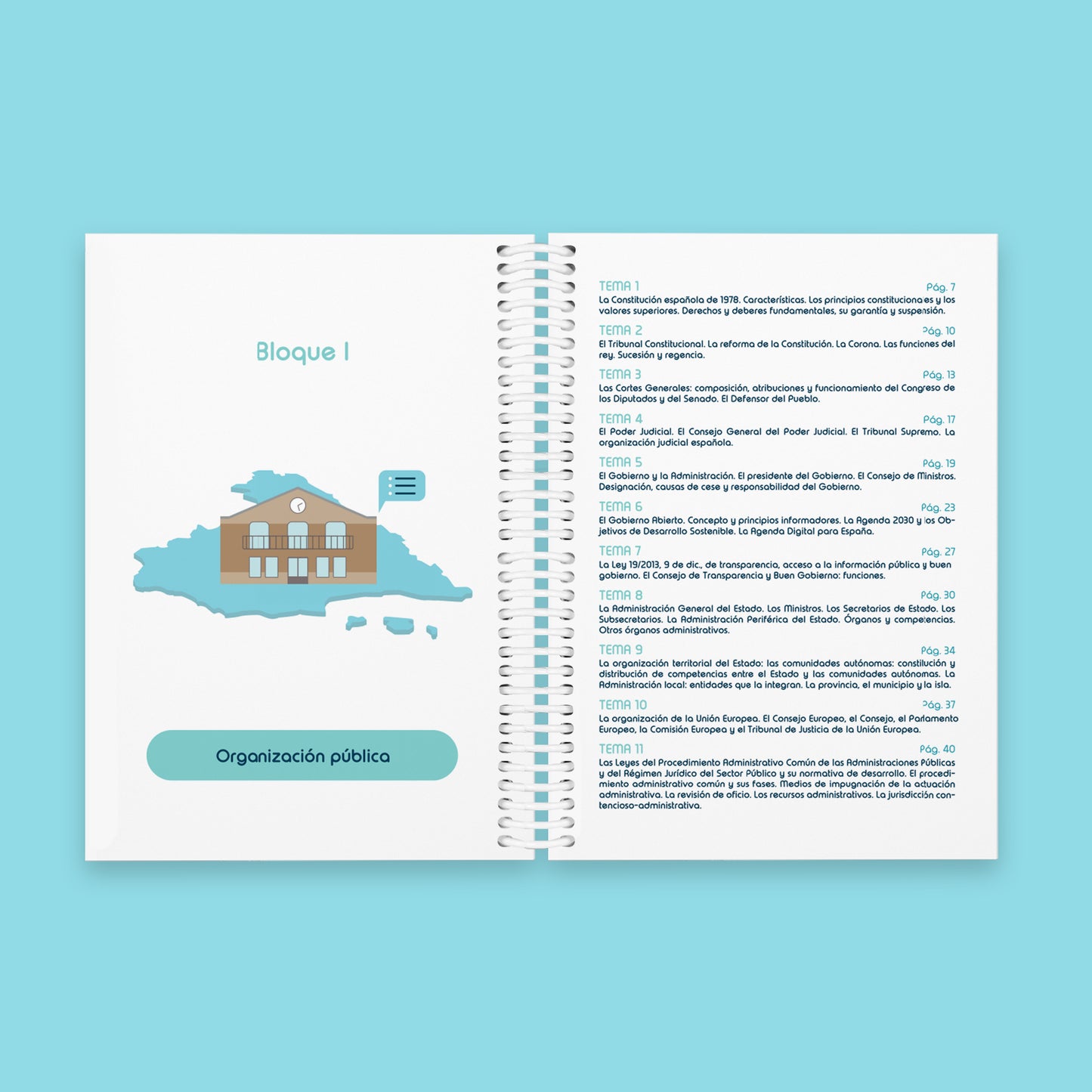 Libro Tests Auxiliar Administrativo del Estado - OPOESQUEMAS